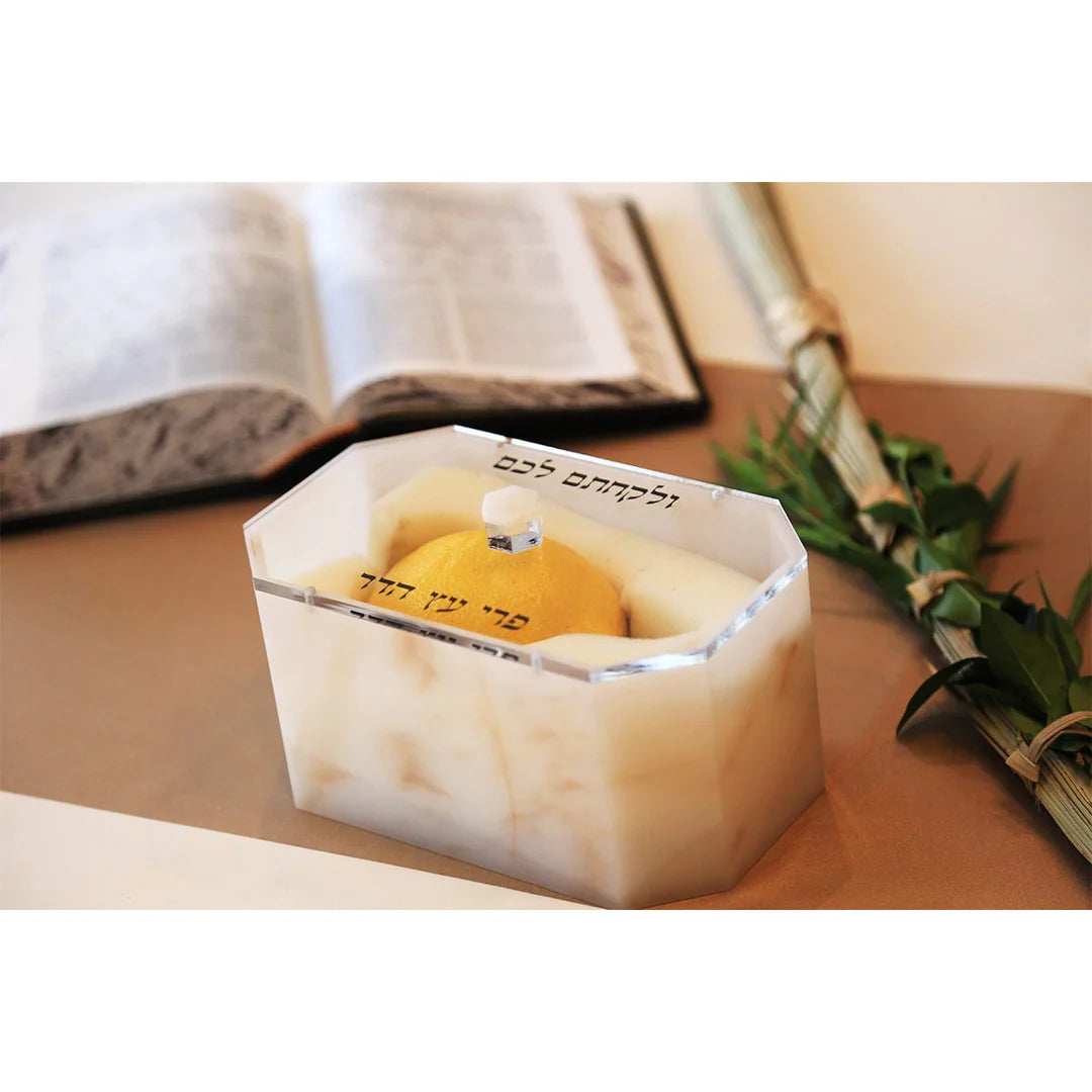 Esrog Box - Gold Marble