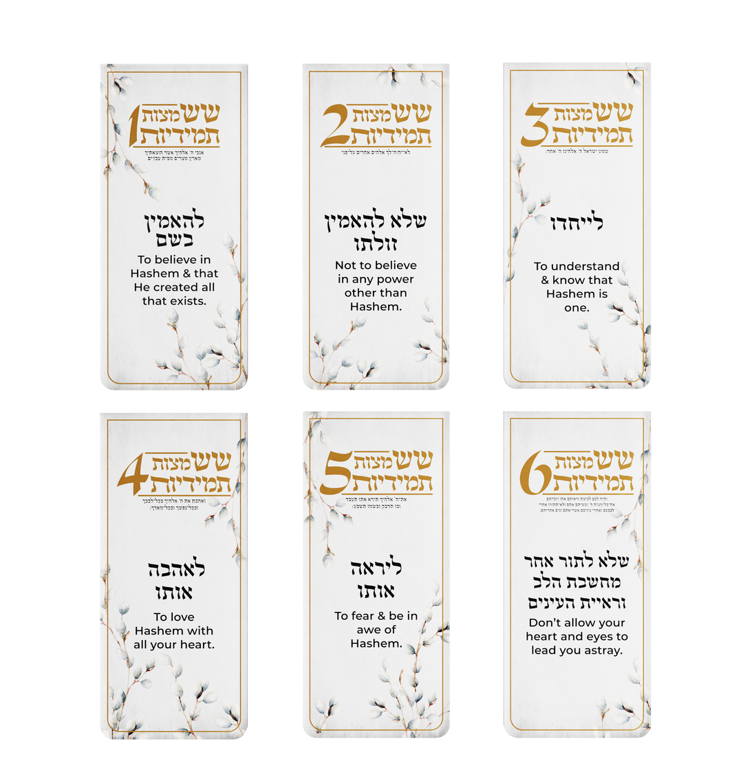 Six Constant Mitzvahs Magnets