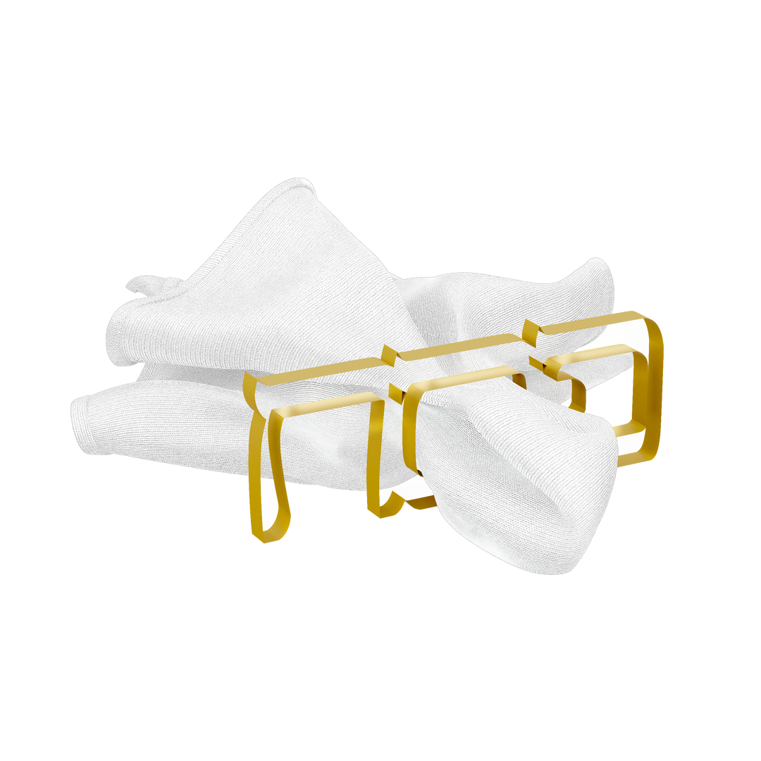 Pesach Napkin Rings - Gold