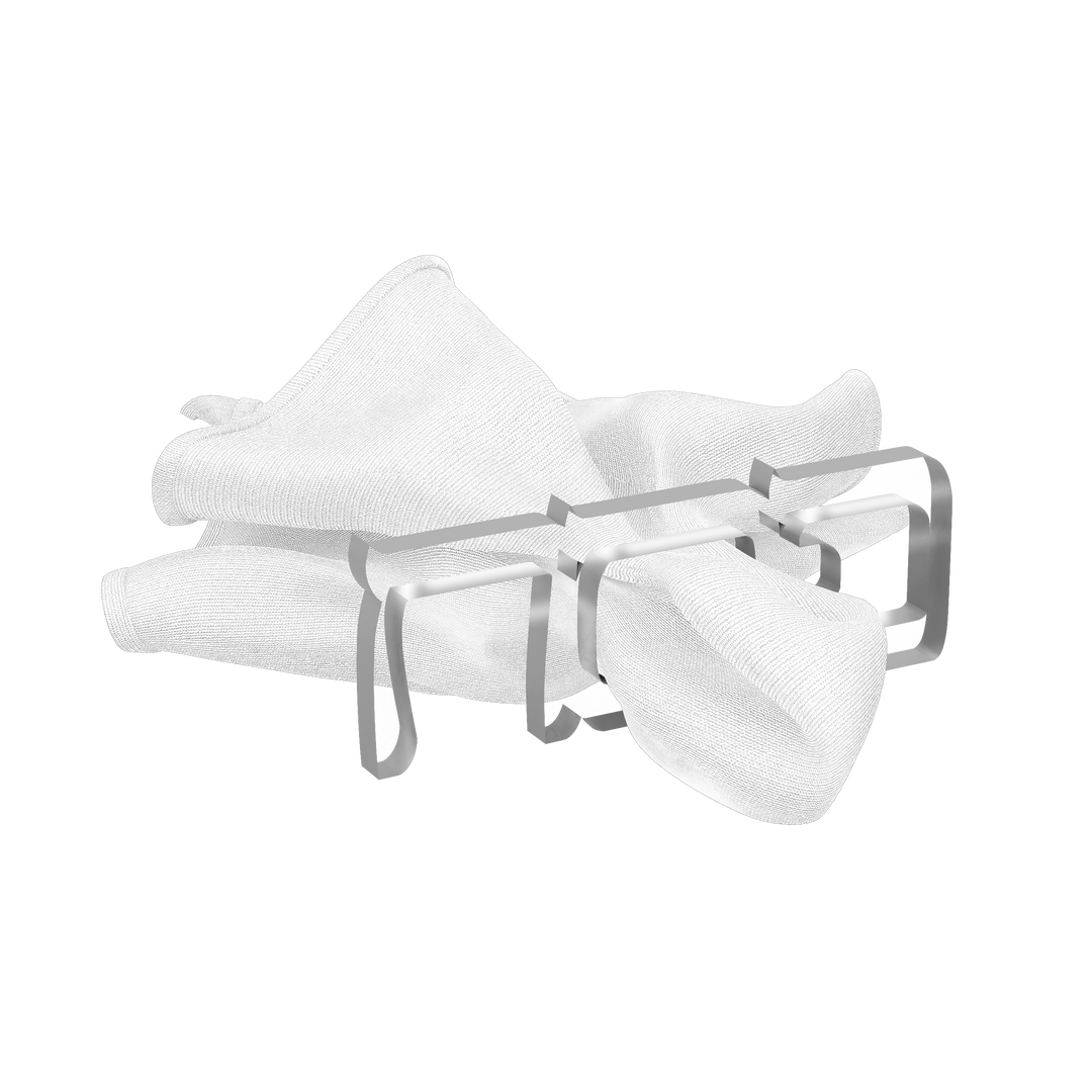Pesach Napkin Rings - Silver